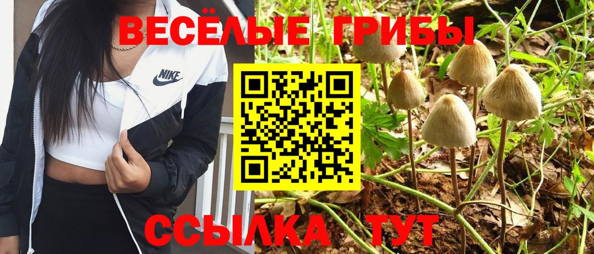 Галлюциногенные грибы GOLDEN TEACHER Бугуруслан