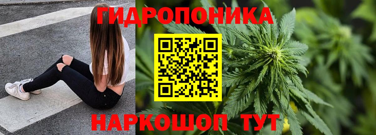 Бошки марихуана AK-47 Бугуруслан